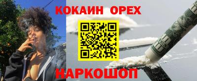 индика Сланцы