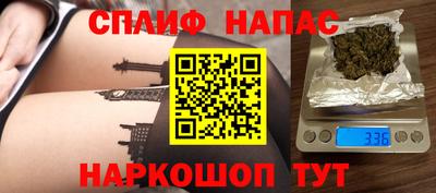 индика Сланцы