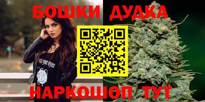 индика Сланцы