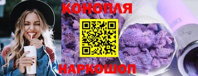 индика Сланцы
