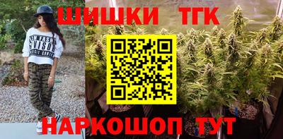 индика Сланцы