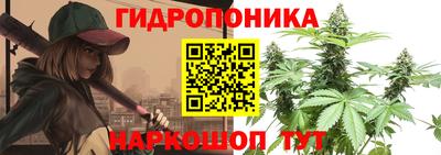 дурь Славгород