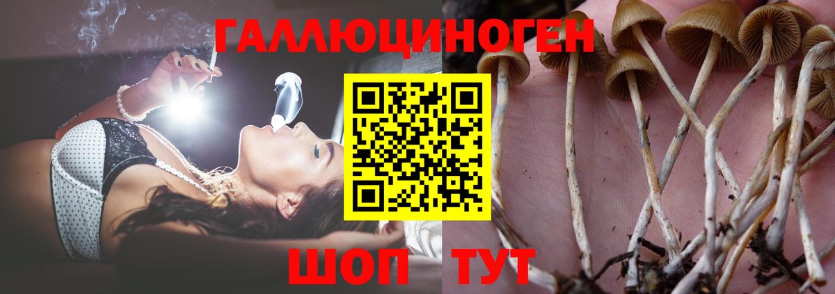 Галлюциногенные грибы Magic Shrooms Белебей